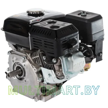 Бензиновый двигатель Brait BR202P20 картинка 2